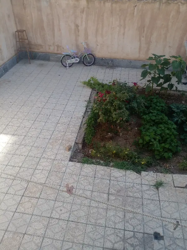 اجاره واحد مسکونی