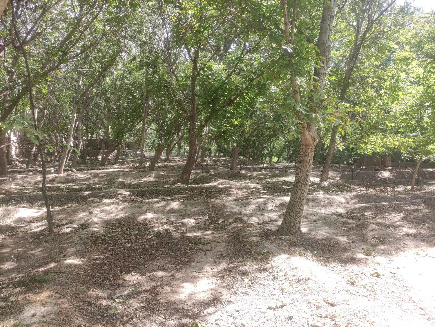باغ خوش آب و هوا در اسکو