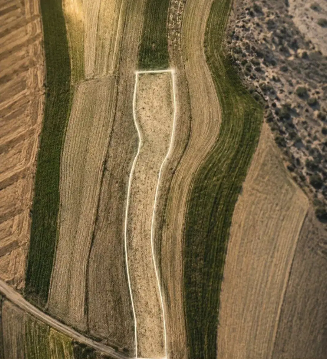 سلام فروش زمین باغی