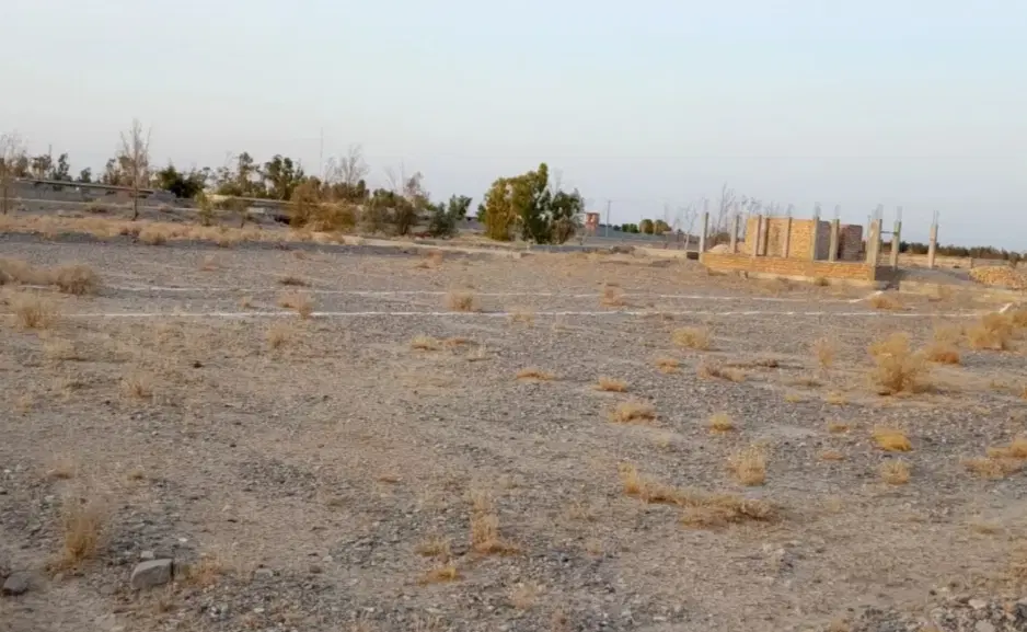 زمین سرزه