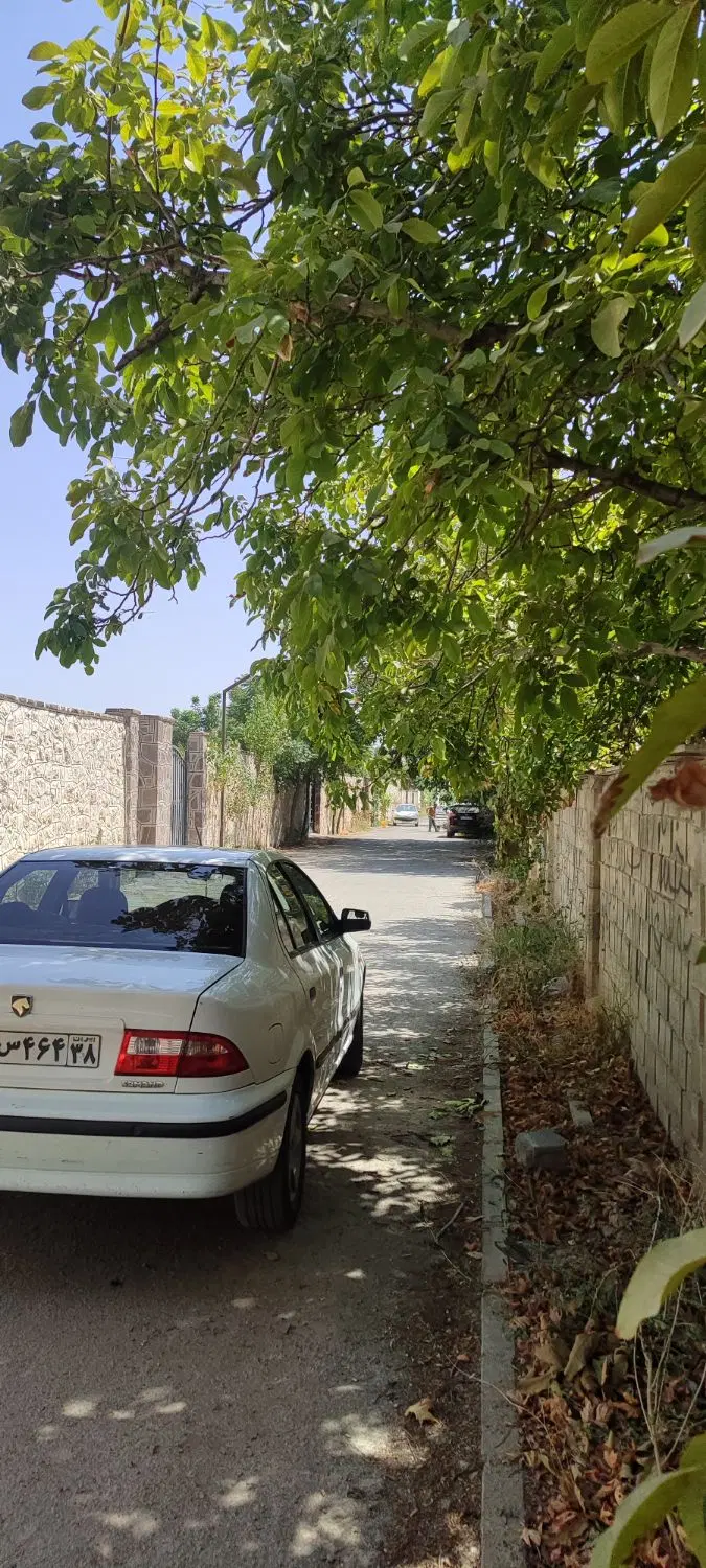 زمین