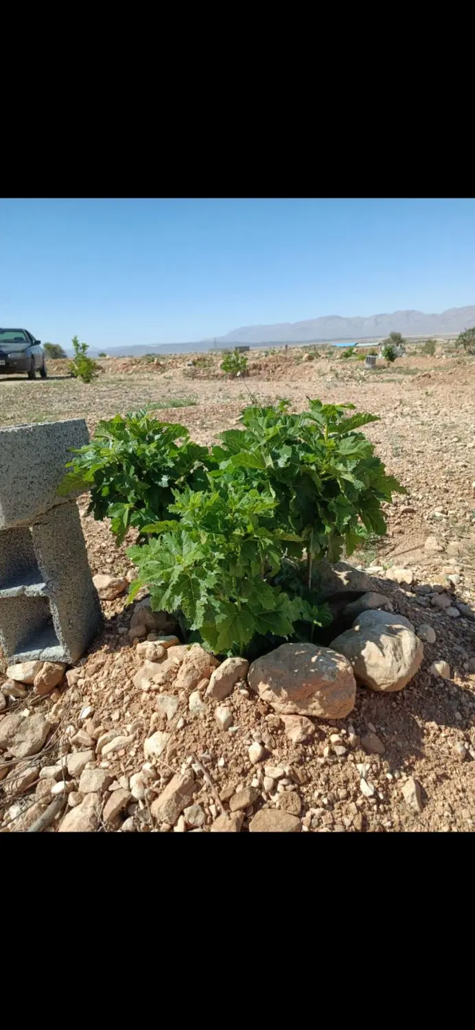 ملک تفریحی