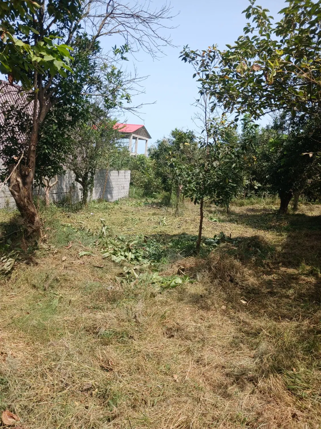 فروش زمین