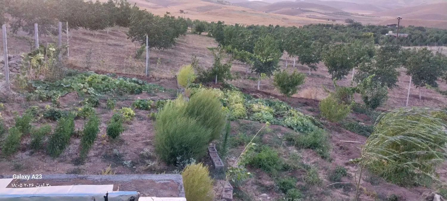 خانه باغ عصر اباد