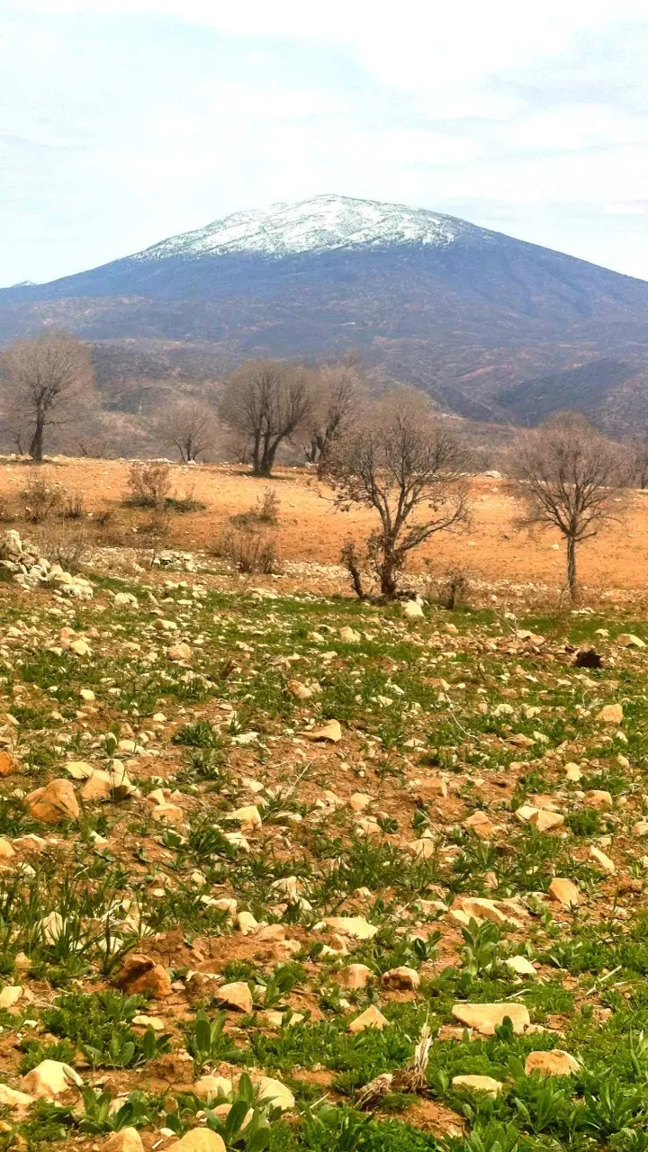 زمین اجاره جهت کشاورزی