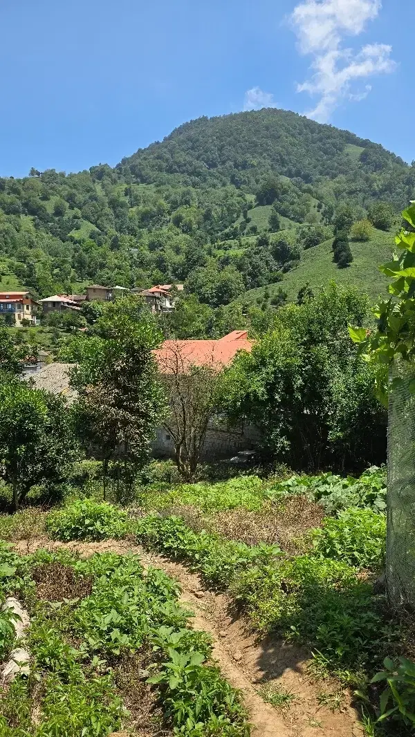 خانه محوطه سند دار (۷۸۰ متر)،تماما کاربری
