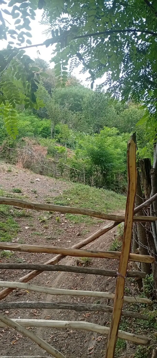 فروش زمین باغی