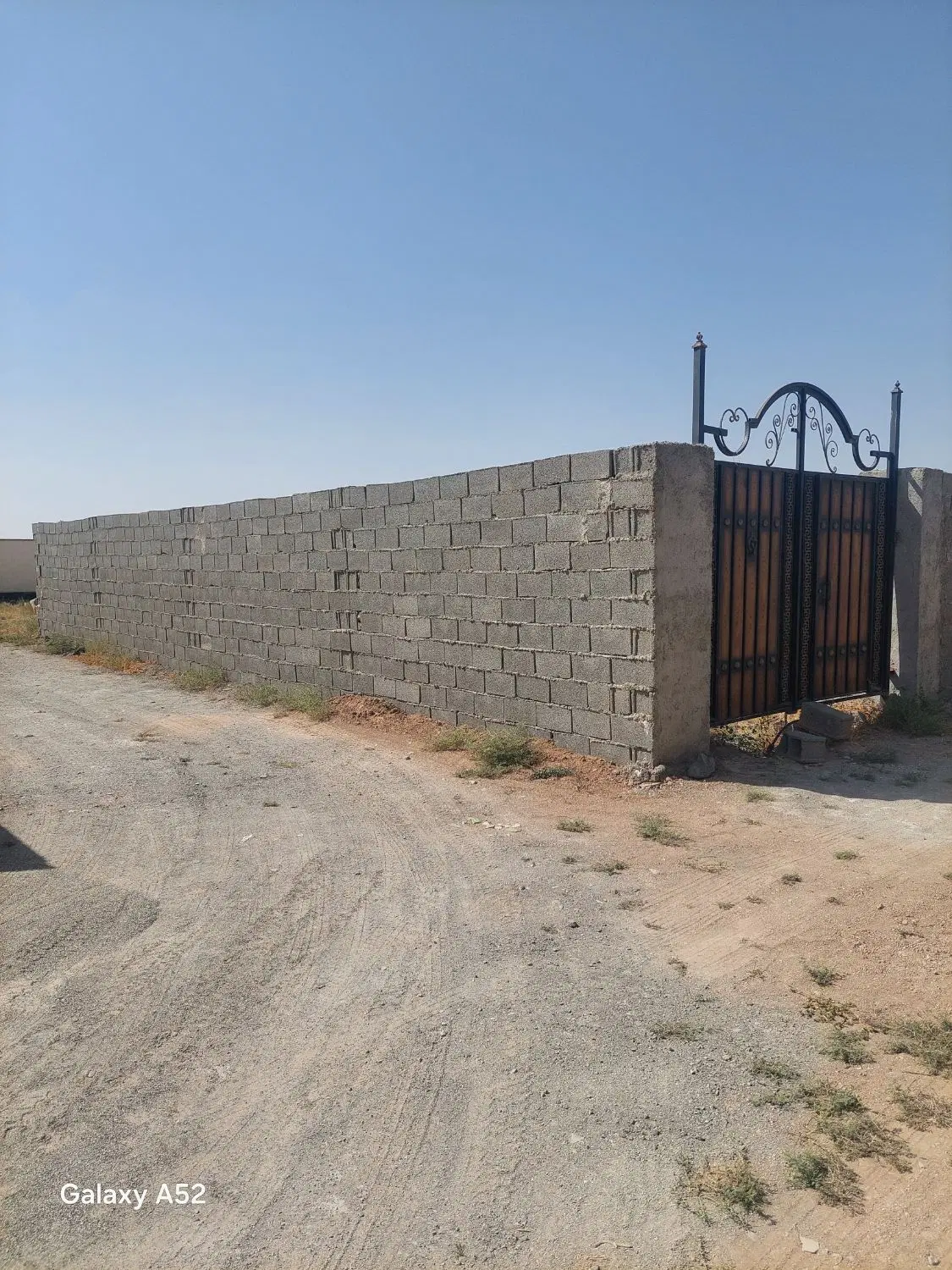 زمین سند دار تک برگ
