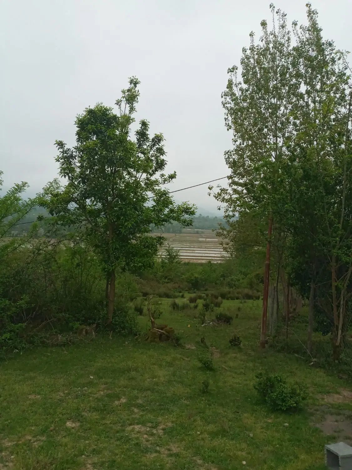 ۵۰۰ متر زمین باغی داخل طرح هادی