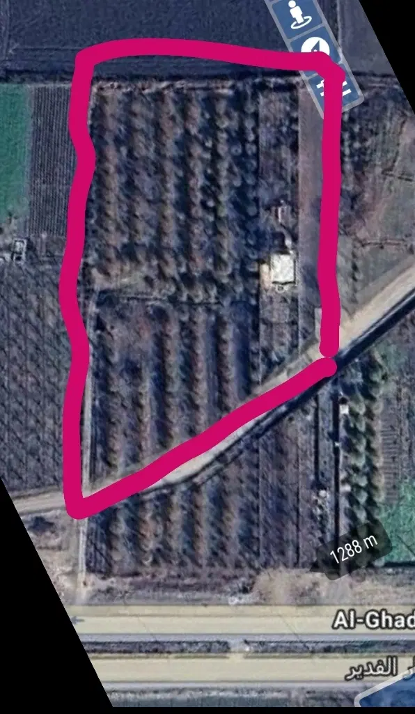 زمین کشاورزی