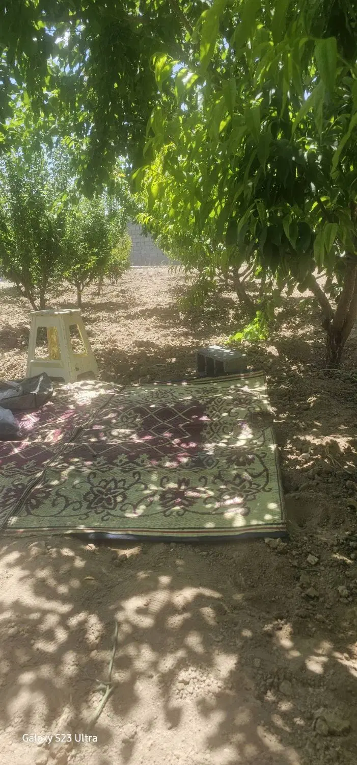 باغ شهریار وحیدیه ۵۰۰ متر