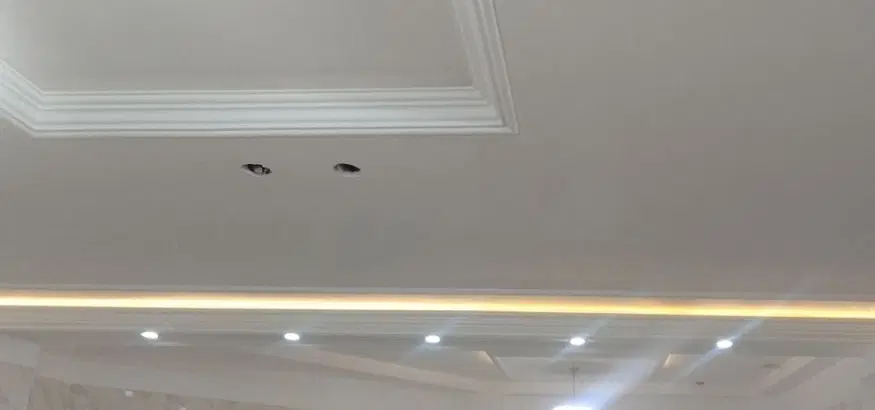 همخونه میشم