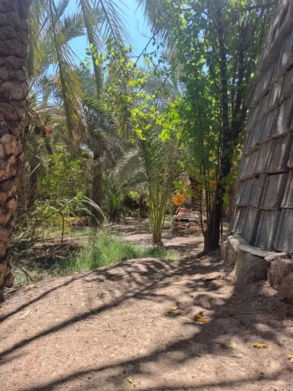 خانه ویلایی و باغ