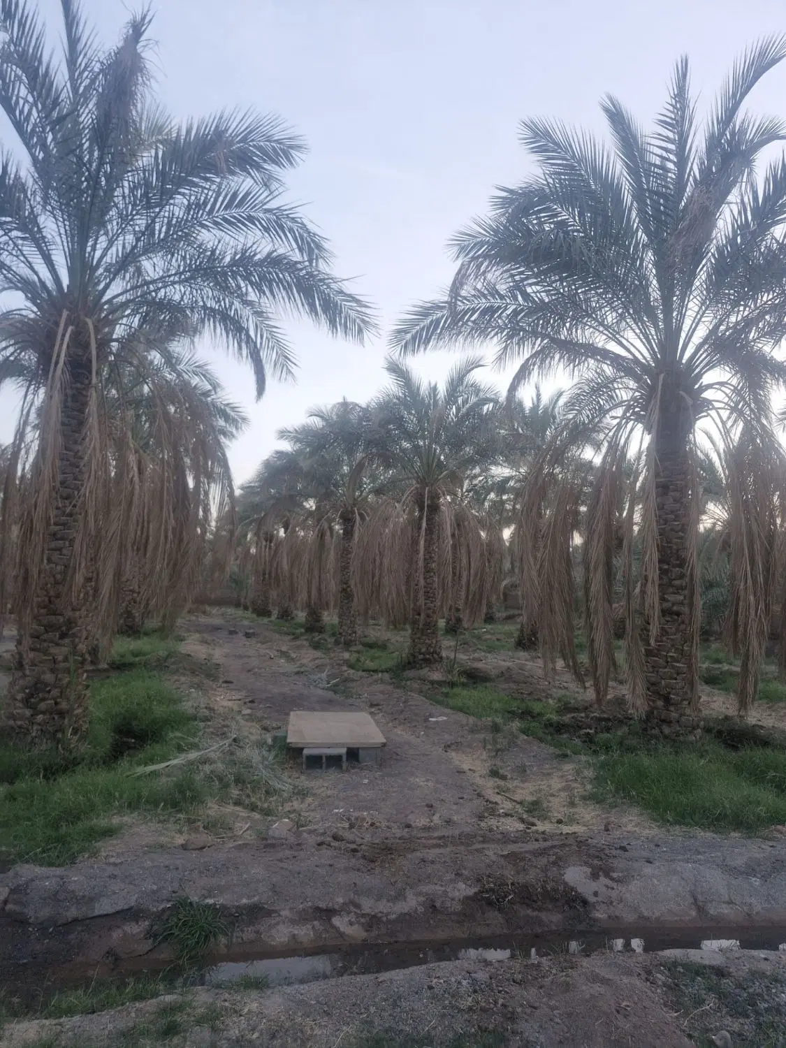 خوشه بندی انجام میشود
