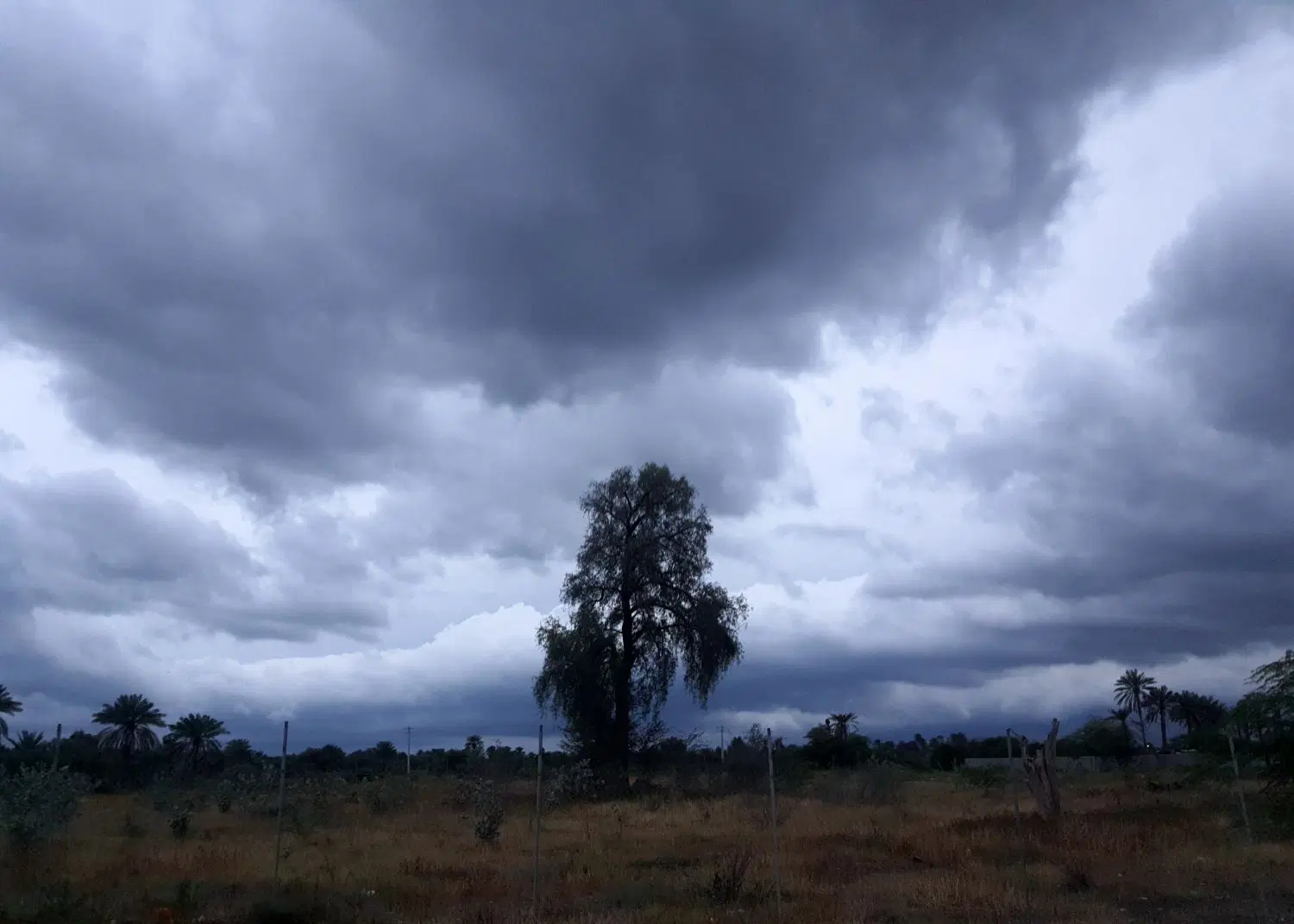 زمینی استثنایی
