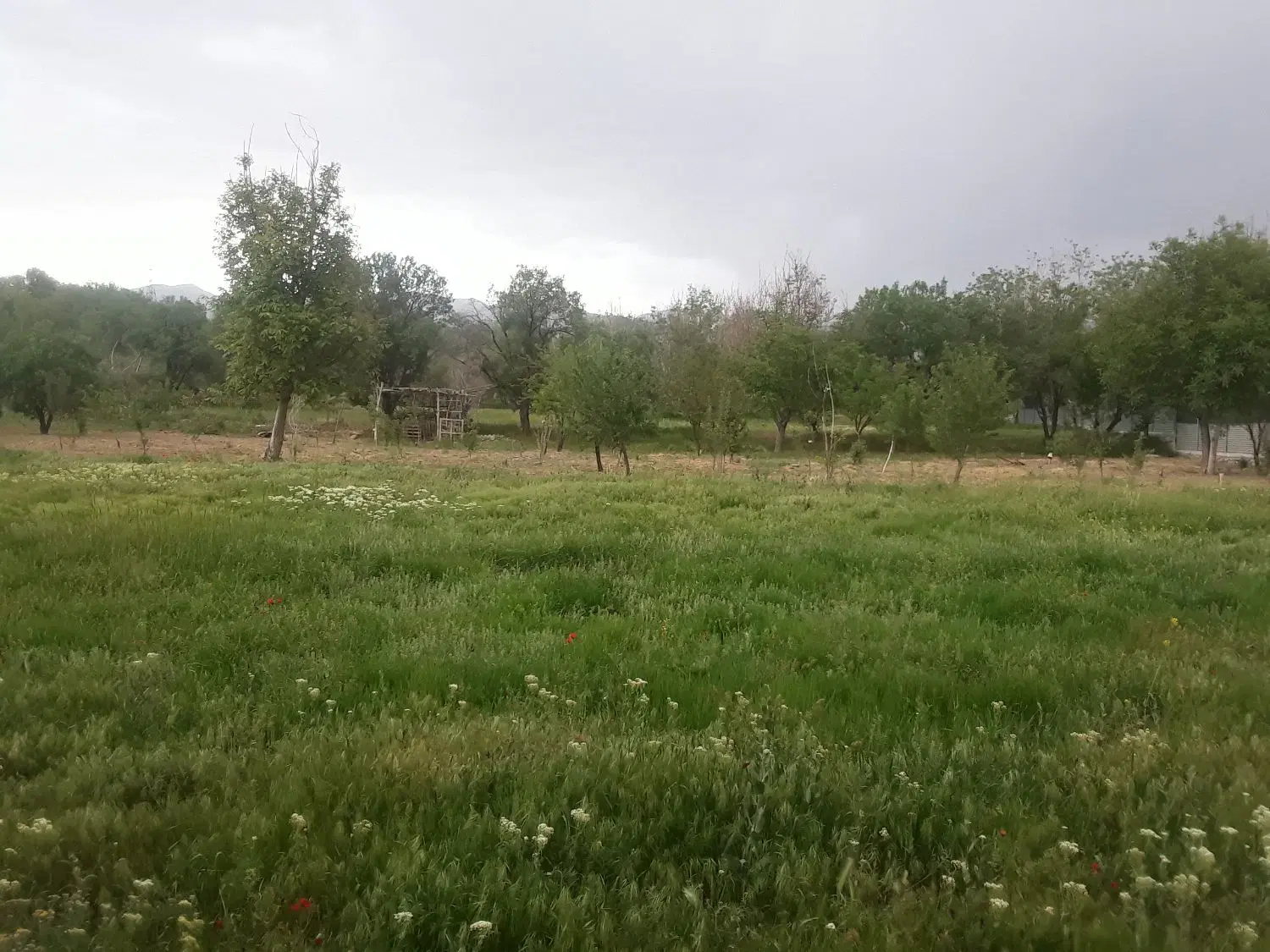 زمین ۱۰۰۰متری واقع در شمس آباد