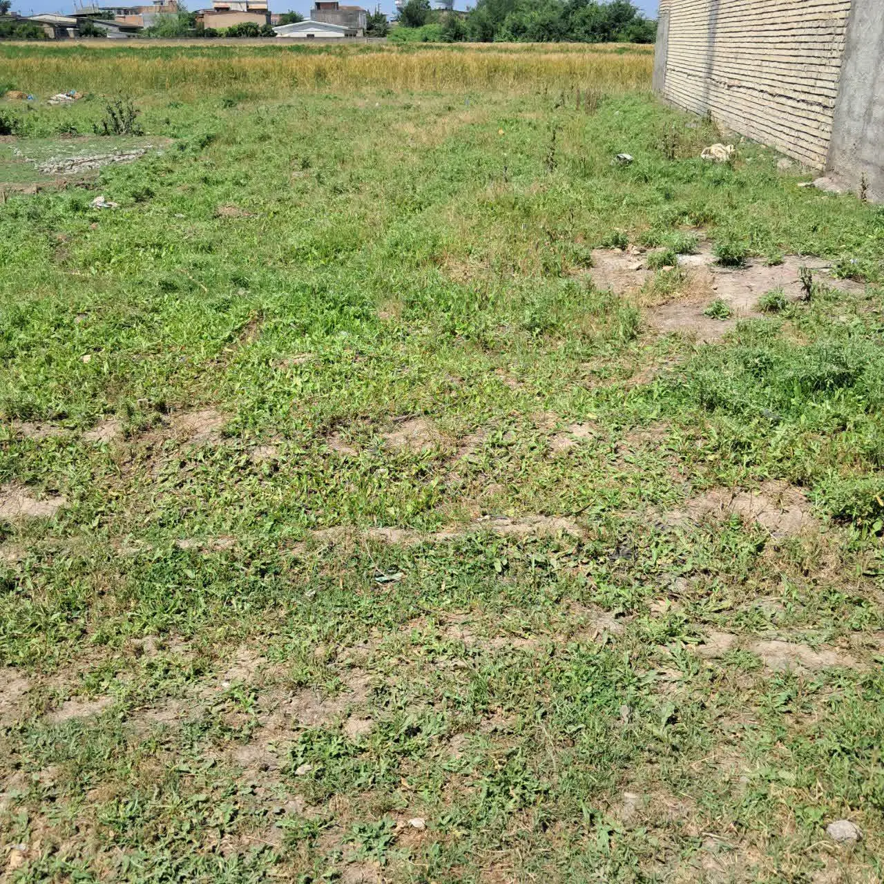 زمین مسکونی