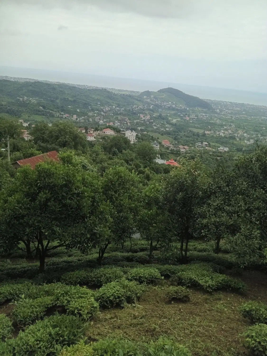 فروش زمین در روستای لتر