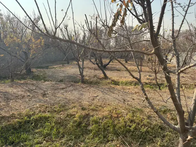 زمین ۱۰۰۰ متری شهرکی