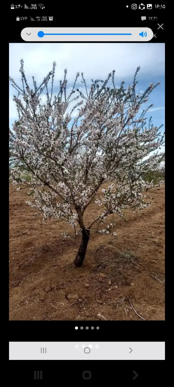 زمین