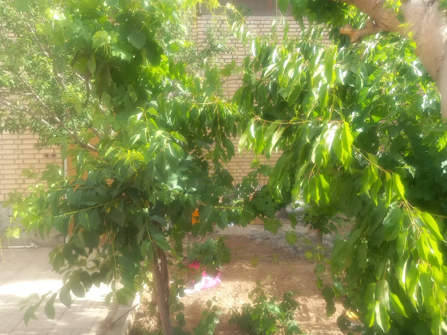 فروش خانه ویلایی در مجلسی