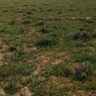 زمین ویلایی واقع در صوفیان