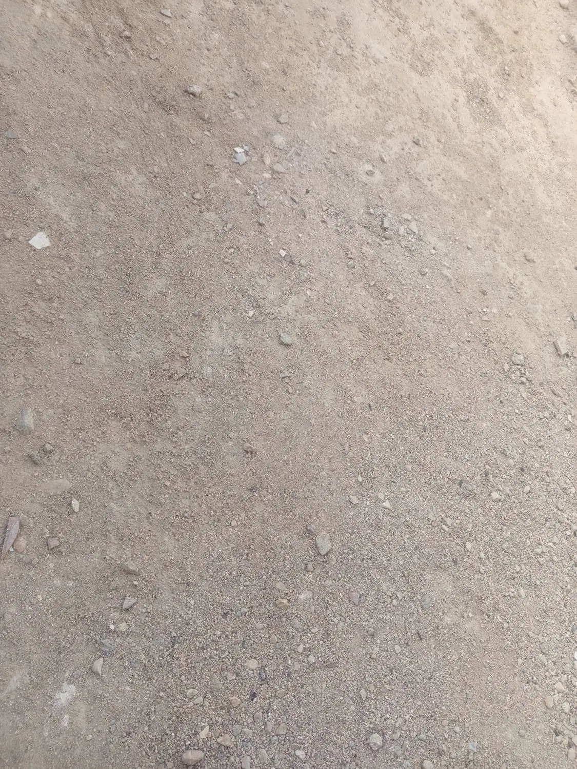 زمین گورک کله بندی