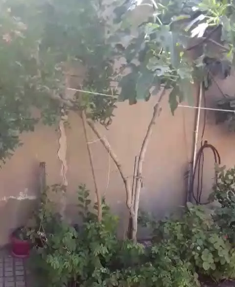 فروش چهاردیواری