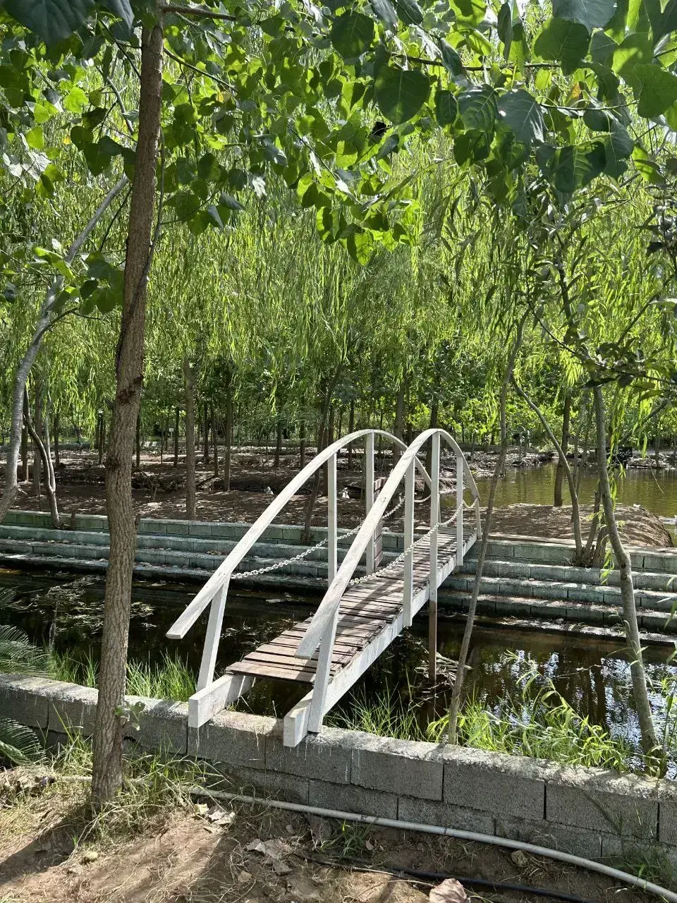 خانه ای کوچک با  آرامشی بزرگ در دل طبیعت