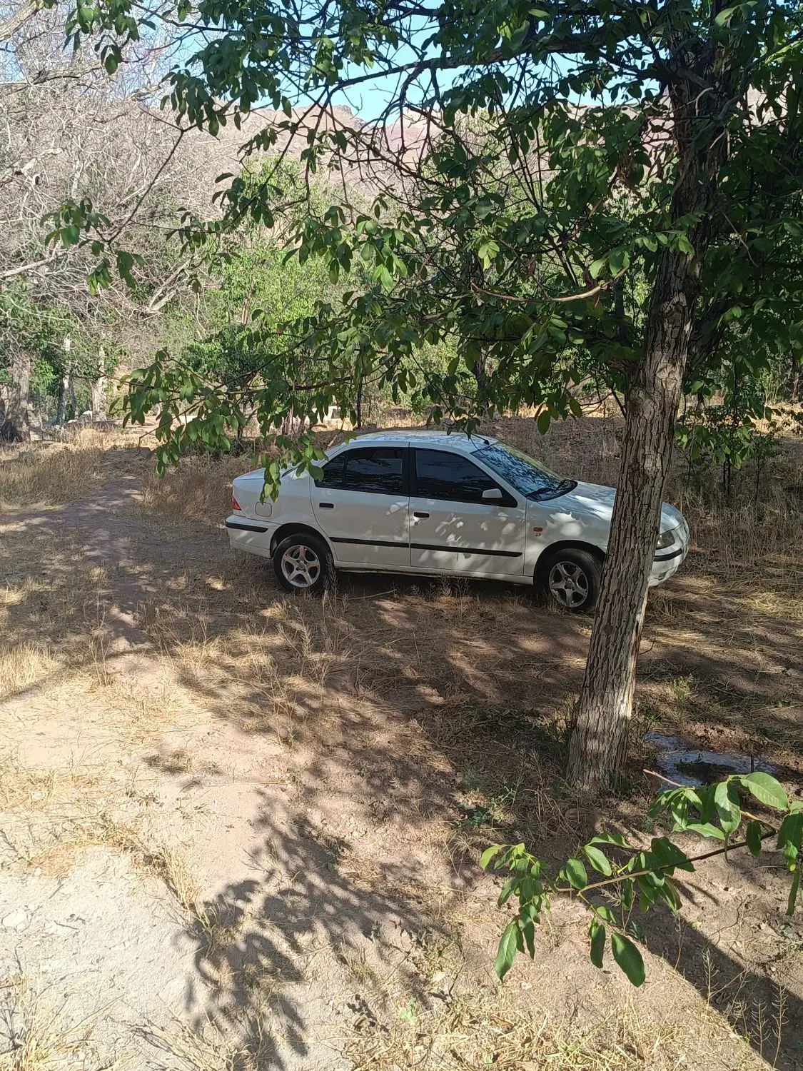 فروش باغ در جاسب