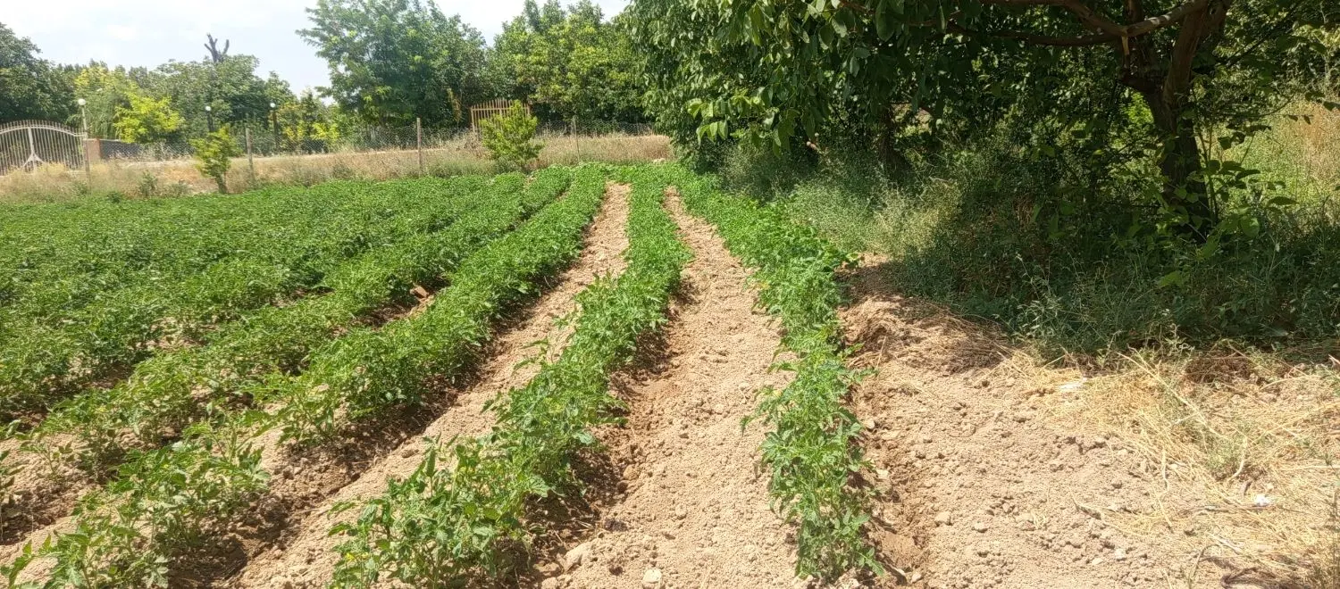 زمین فروشی