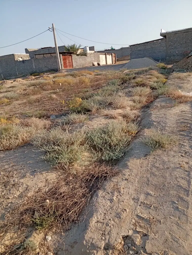 درود