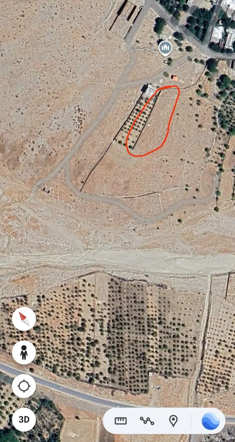 زمین سپیدار مرکزی
