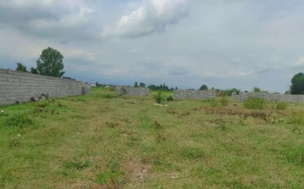 زمین