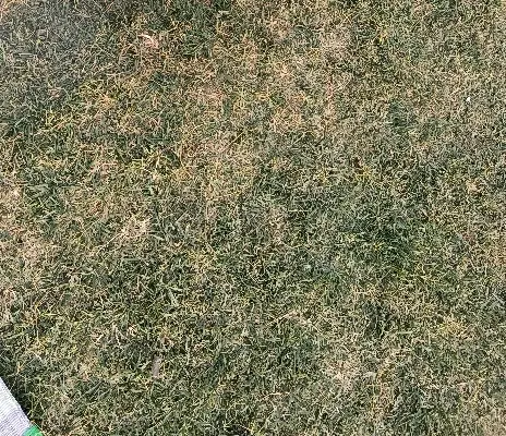 زمین کوی فرهنگ
