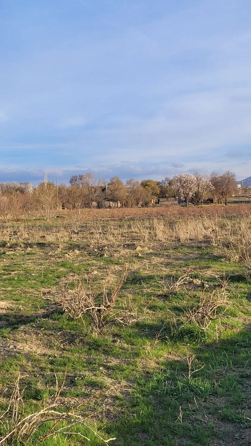 زمین باغی واقع در شورین