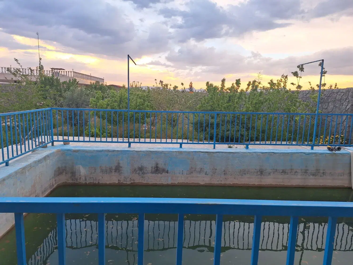 باغ کهریزسنگ گل مینا