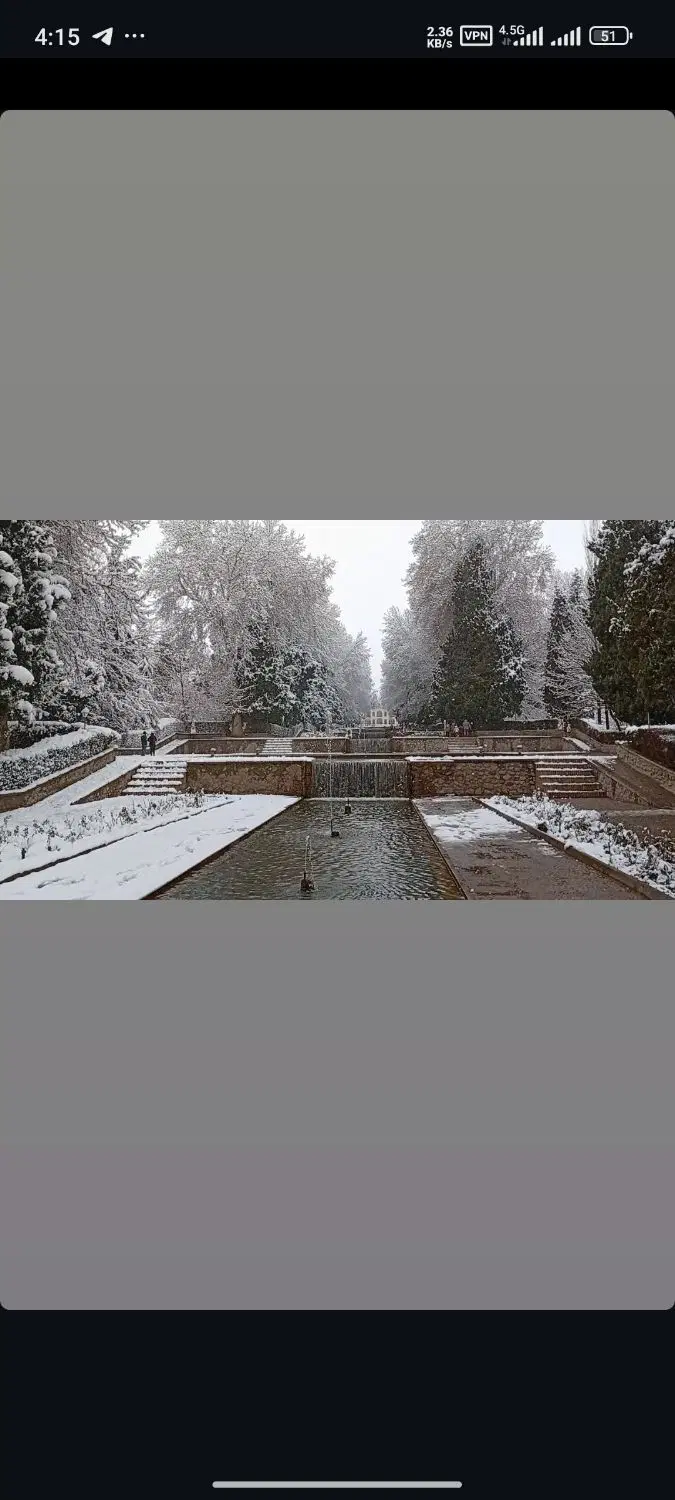 زمین تک برگ در ماهان