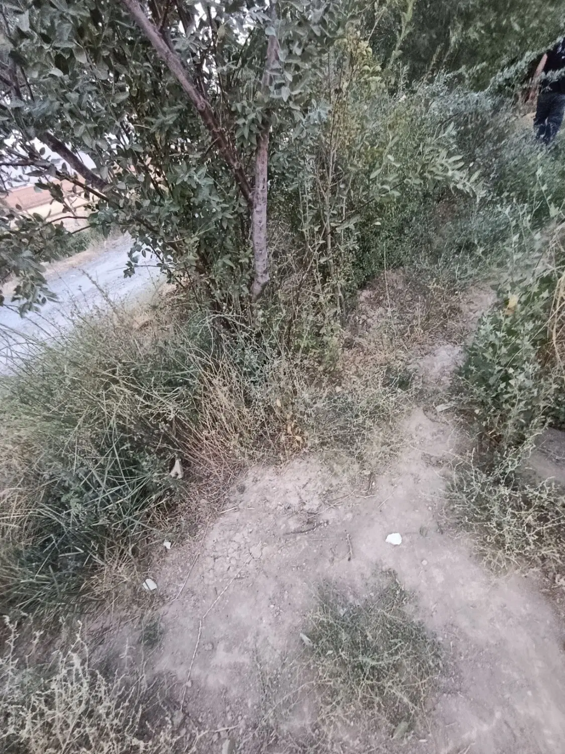 زمین جاده میقان