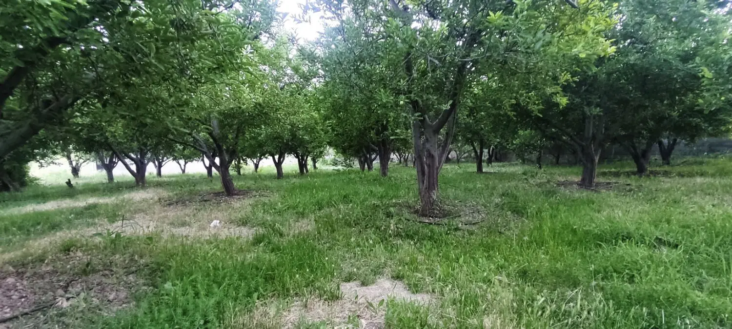 فروش باغ مسکونی در شهر سی سخت