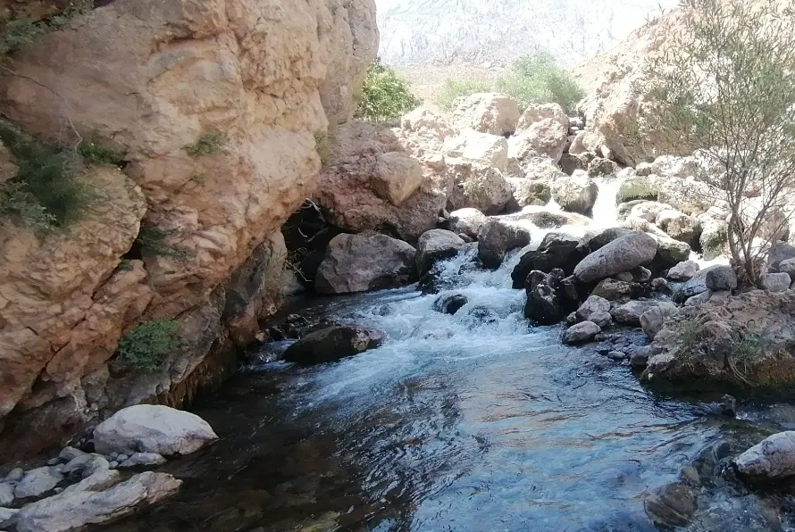 باغ روبرو شهرستانک