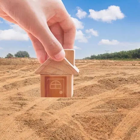 فروش کاریزلند تاپ