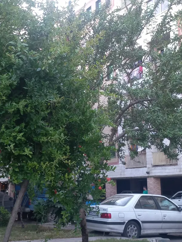 آپارتمان فول بازسازی با پارکینگ