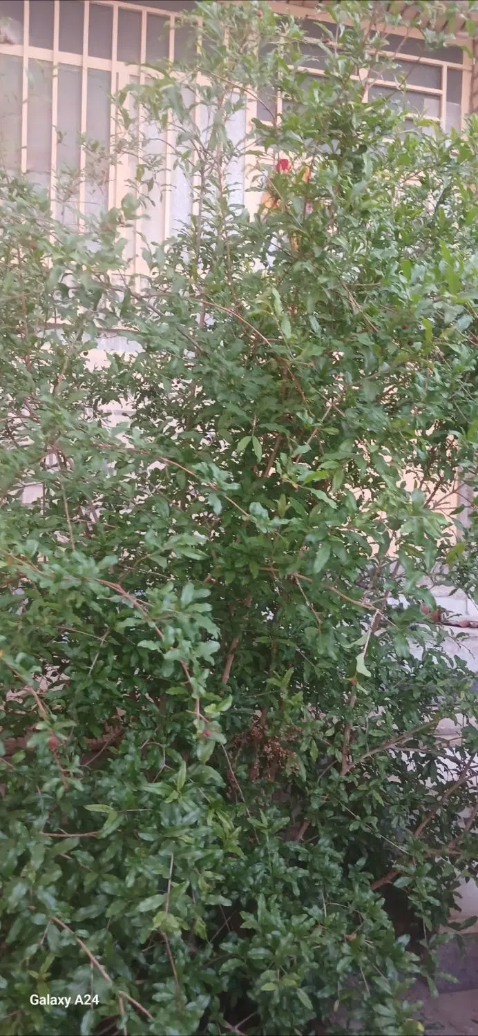 مسکن مهر همکف