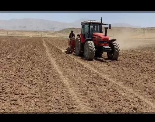اجاره و شراکت زمین کشاورزی