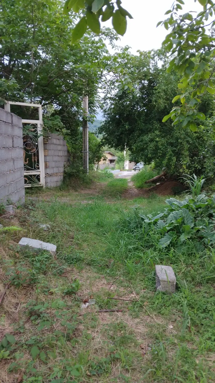 ۲۵۰ متر ششدانگ نیاسته