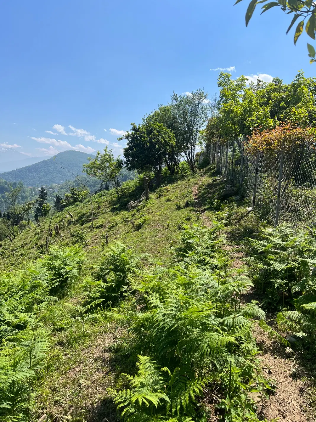 باغ نزدیک باغ پرندگان