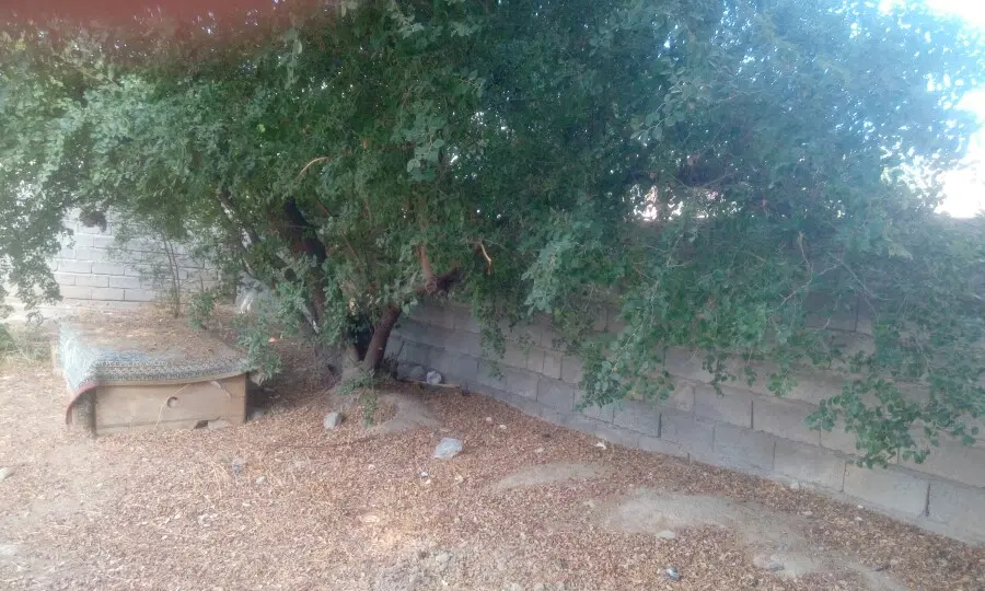 زمین و خانه کلنگی