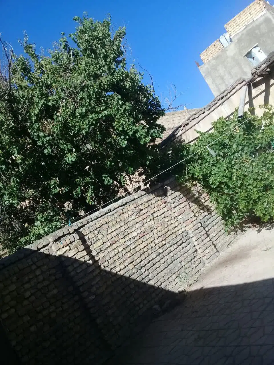 اجاره خونه قدیمی  میدان شهدا خیابان مدرس