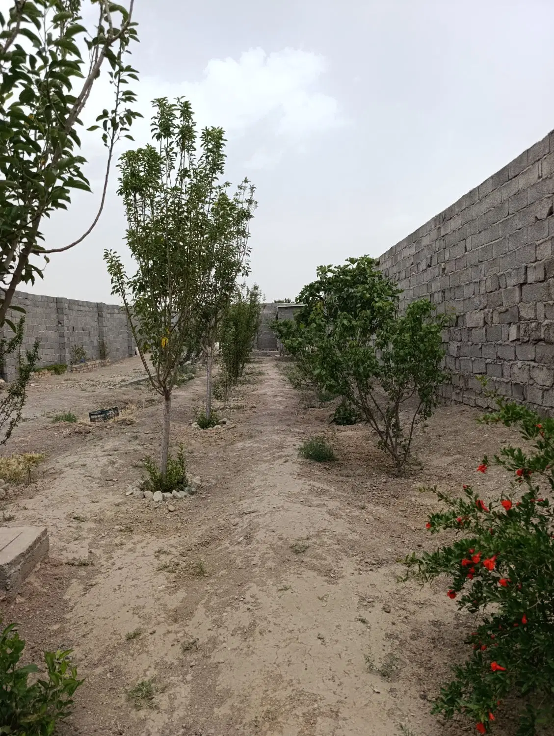 فروش باغچه نقلی
